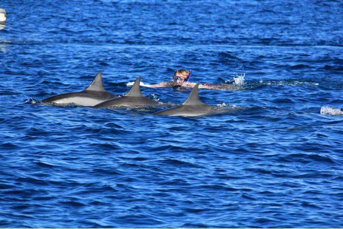 毛里求斯天堂原乡完整版,天堂毛里求斯深度解析