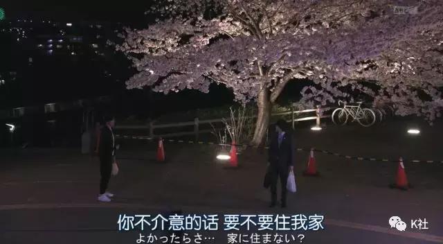 又虐又甜的校园爱情剧,又虐又甜的都市爱情剧大全最新