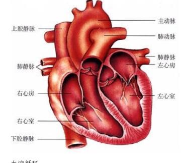 北师大版生物中考必背知识点,苏教版生物中考知识点总结填空版