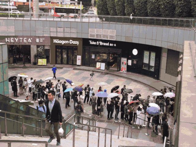 乐乐茶爆款脏脏茶,乐乐茶黑糖波霸脏脏奶茶470ml