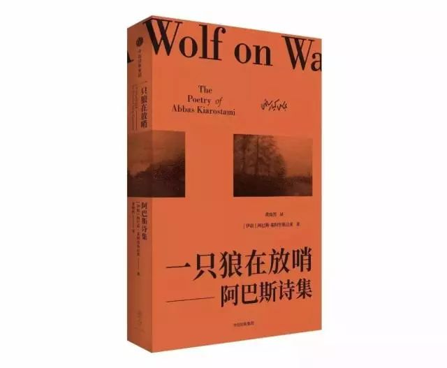 蒋方舟最近照片,蒋方舟现况