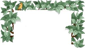 徐医青年招聘,徐医招聘直播