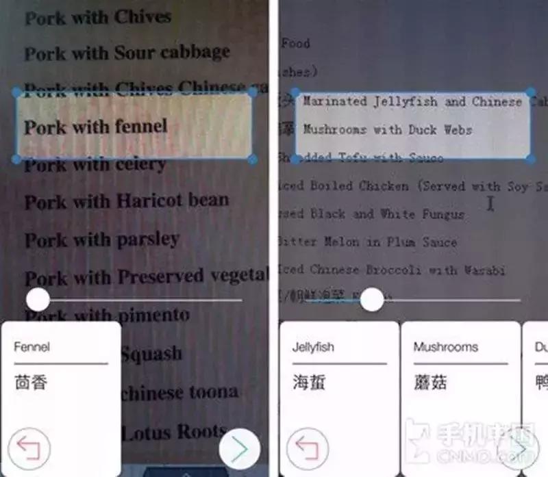 出国经验有哪些,出国会选择什么样的app