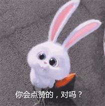 广西贺州红薯干能卖多少钱,北流红薯干批发价格