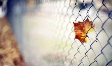 青年节愿我们永远年轻,五四青年节只争朝夕不负韶华