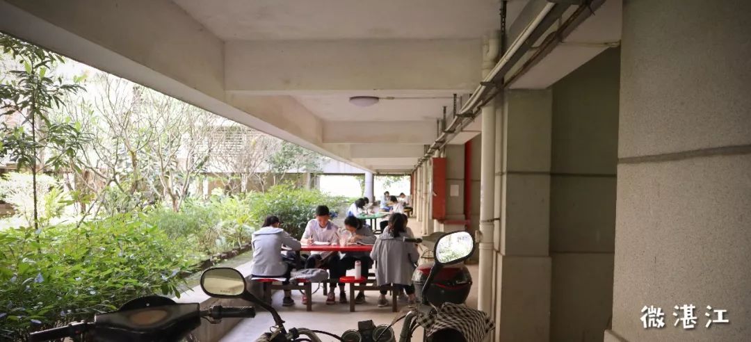 湛江二中旧校区,湛江二中学校