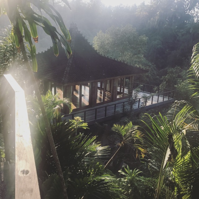 巴厘岛攻略分分钟教你玩转巴厘岛,巴厘岛时尚攻略