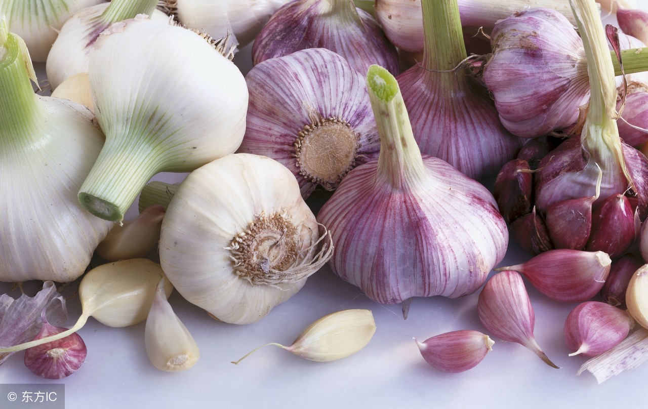 2020大蒜蒜薹行情,杰哥今日的视频