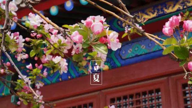 立夏节气的诗词大全,描写关于立夏节气的古诗词句子