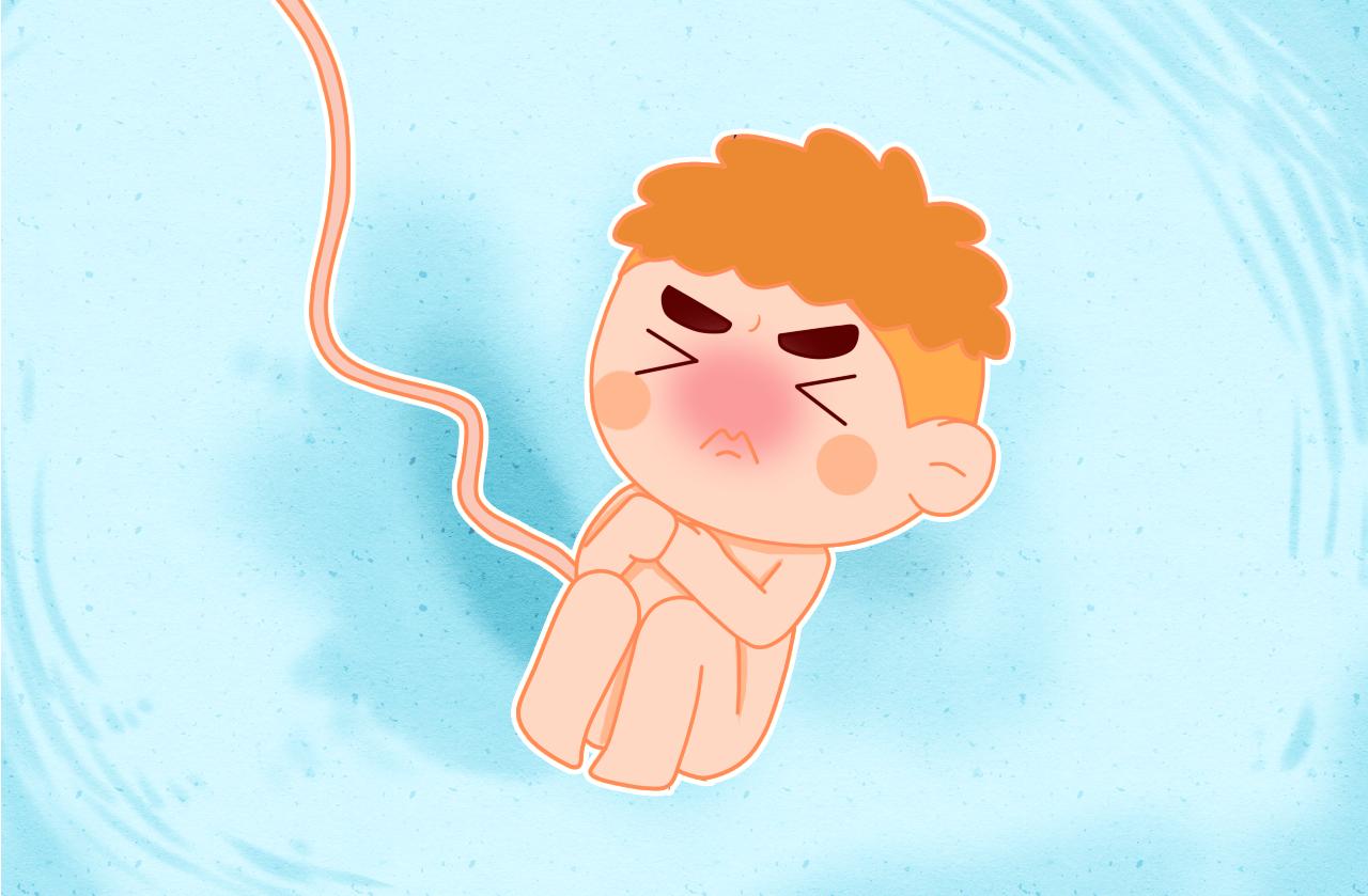 怎么读懂胎动语言,如何读懂宝宝的婴语