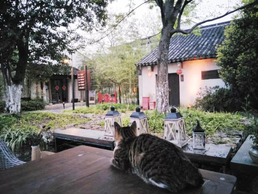 田园东方蜜桃村,田园东方蜜桃村北区