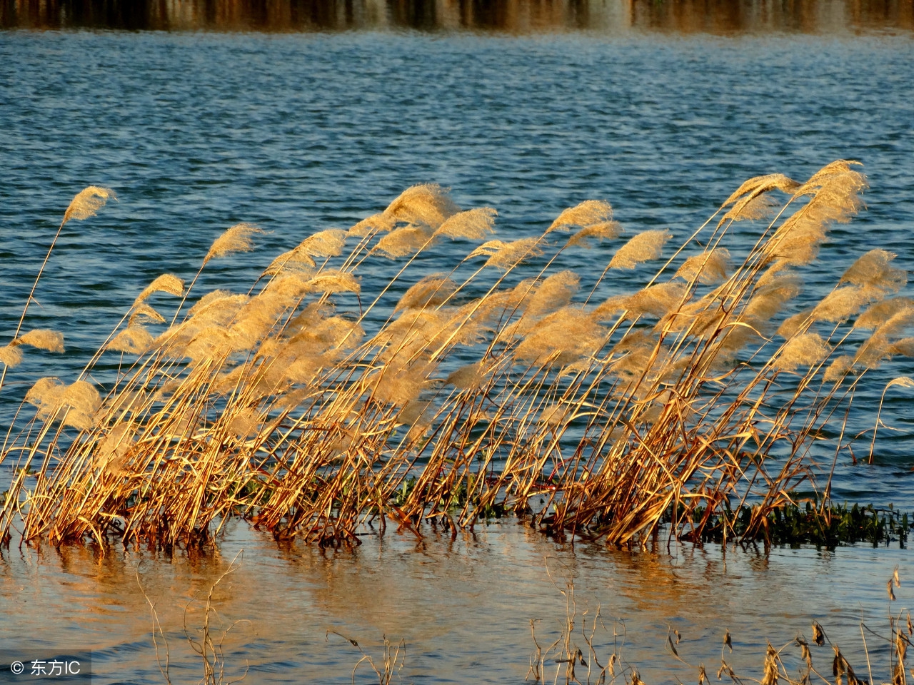 男人优雅有风度,好有风度魅力的男人