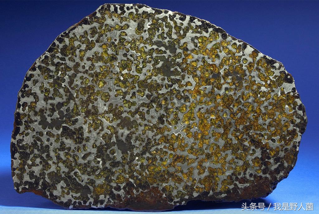 所有真品陨石切片图片,所有真品陨石切片图片大全