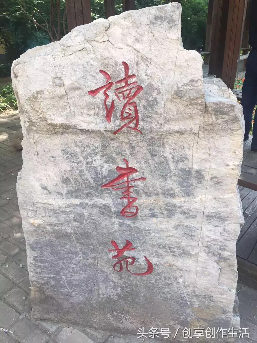 鲜花在前方，我们在路上——首都师范大学附属回龙观育新学校印象