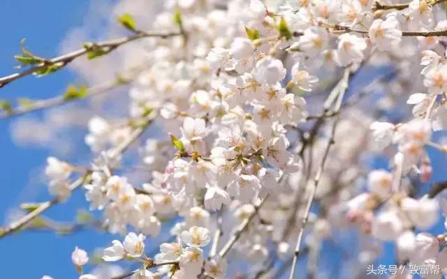 过去一周,这些致富锦囊请拿走不谢!