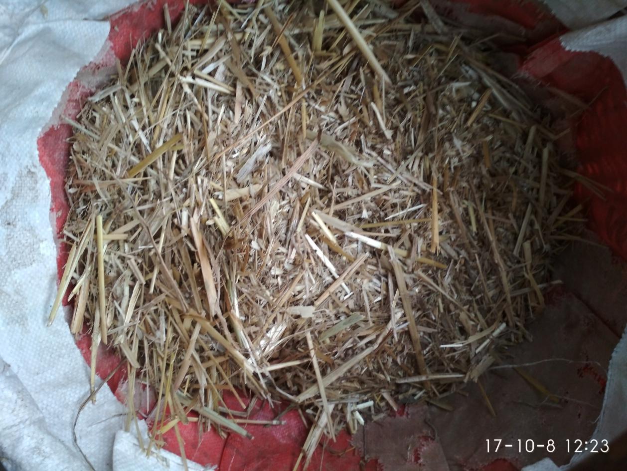 好怀念曾经的岁月,好怀念以前温暖时候