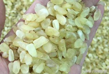 带您走近传说中的“天山雪莲”