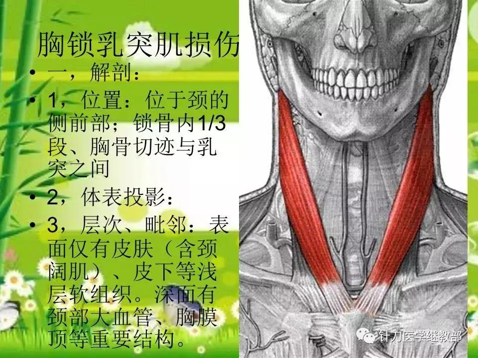 颈椎肌肉损伤用小针刀治疗,针刀治疗颈椎导致神经损伤