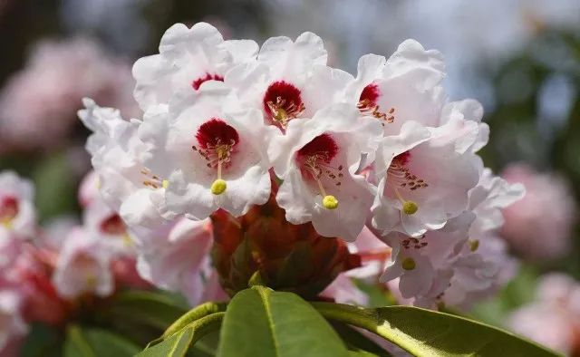 西安小众旅游,西安小众避暑胜地
