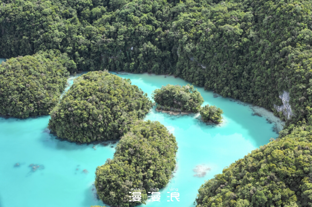 帕劳可以潜水吗,去帕劳玩是什么感觉