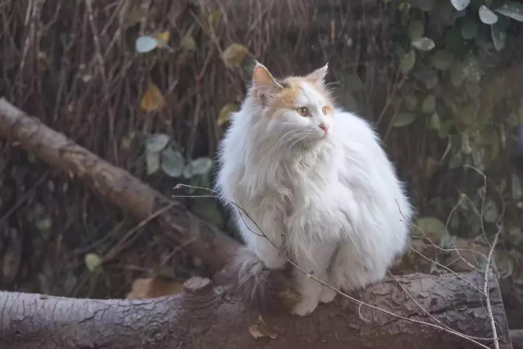 不爱回家探店,北京网红花店有哪些