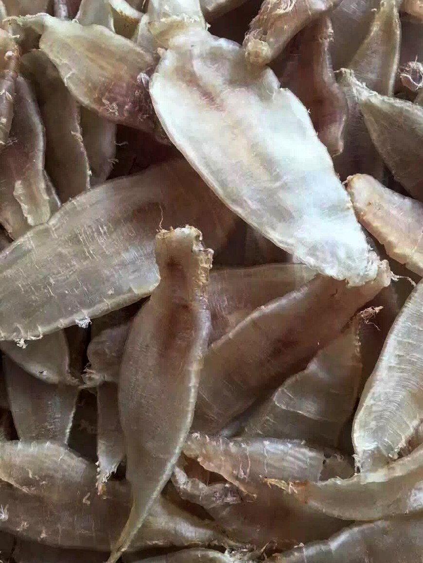 花胶不适合哪些人群,花胶是个大好还是个小好