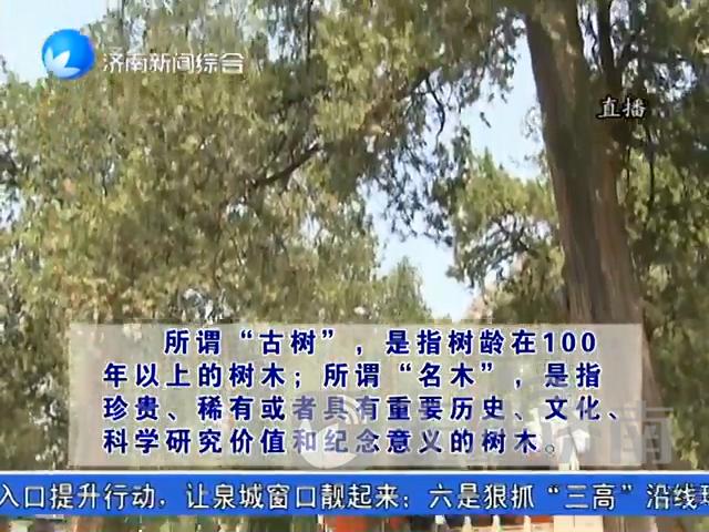 早安济南｜综合立体枢纽“无缝换乘”先行区交通亮点看过来