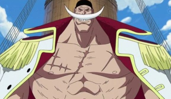 海贼王里所有的人名,路飞代号