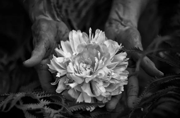 让亲身经历过*洛因海**和*毒冰**的人，告诉你*品毒**是不是真的很难戒