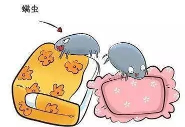 晒被子有诀窍，5种被子5种晒法，用错方法不仅白晒还毁被子