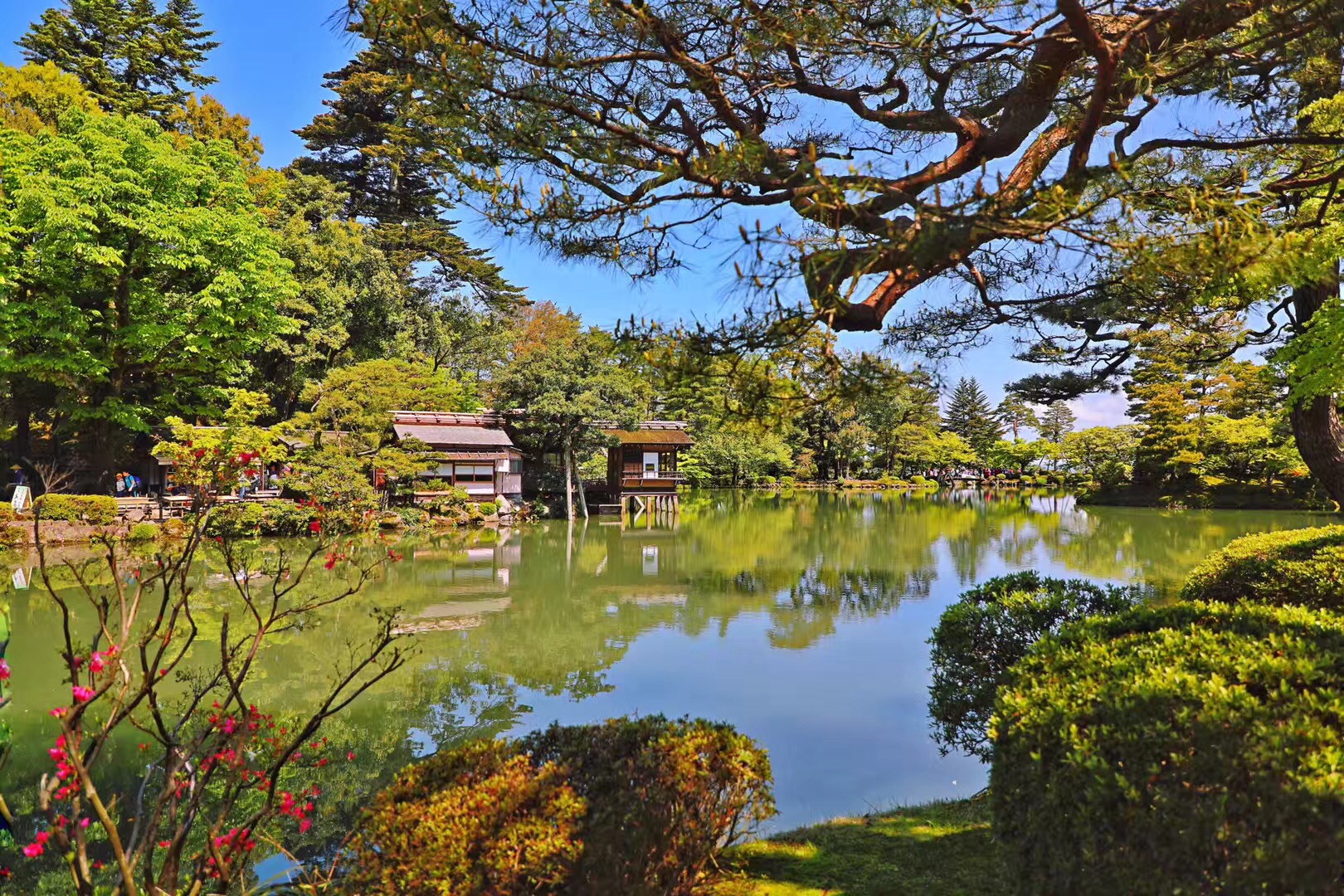 日本大阪至东京旅游路线,大阪到富士山旅游攻略大全