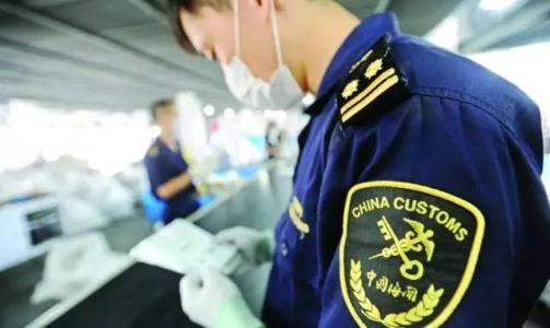 多肉虽可爱海淘需谨慎,海淘有风险切勿贪图便宜