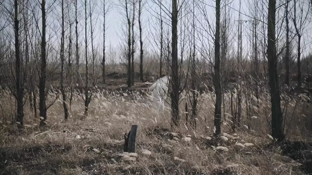 鐢靛奖璁╀笘鐣屾洿缇庡ソ,鐢靛奖璁╄繖涓笘鐣屾洿缇庡ソ