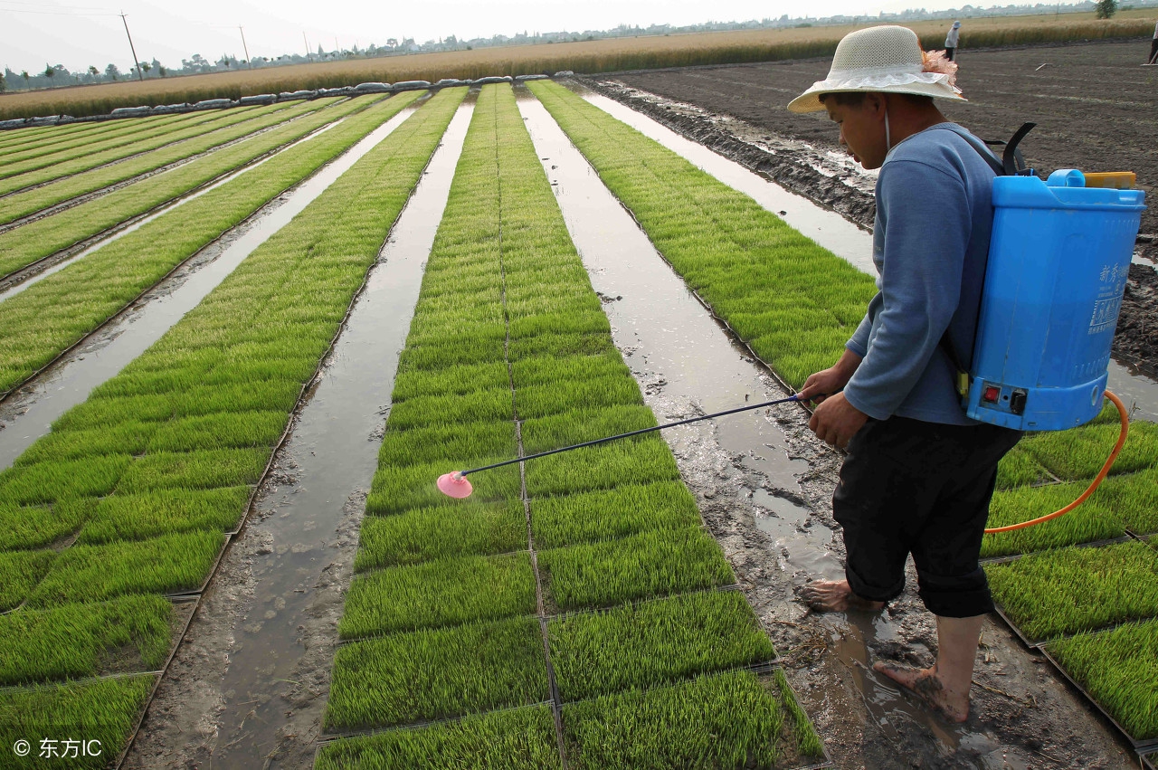 肥料之间有排斥盲目混用危害大,肥料复配后发生拮抗怎么办