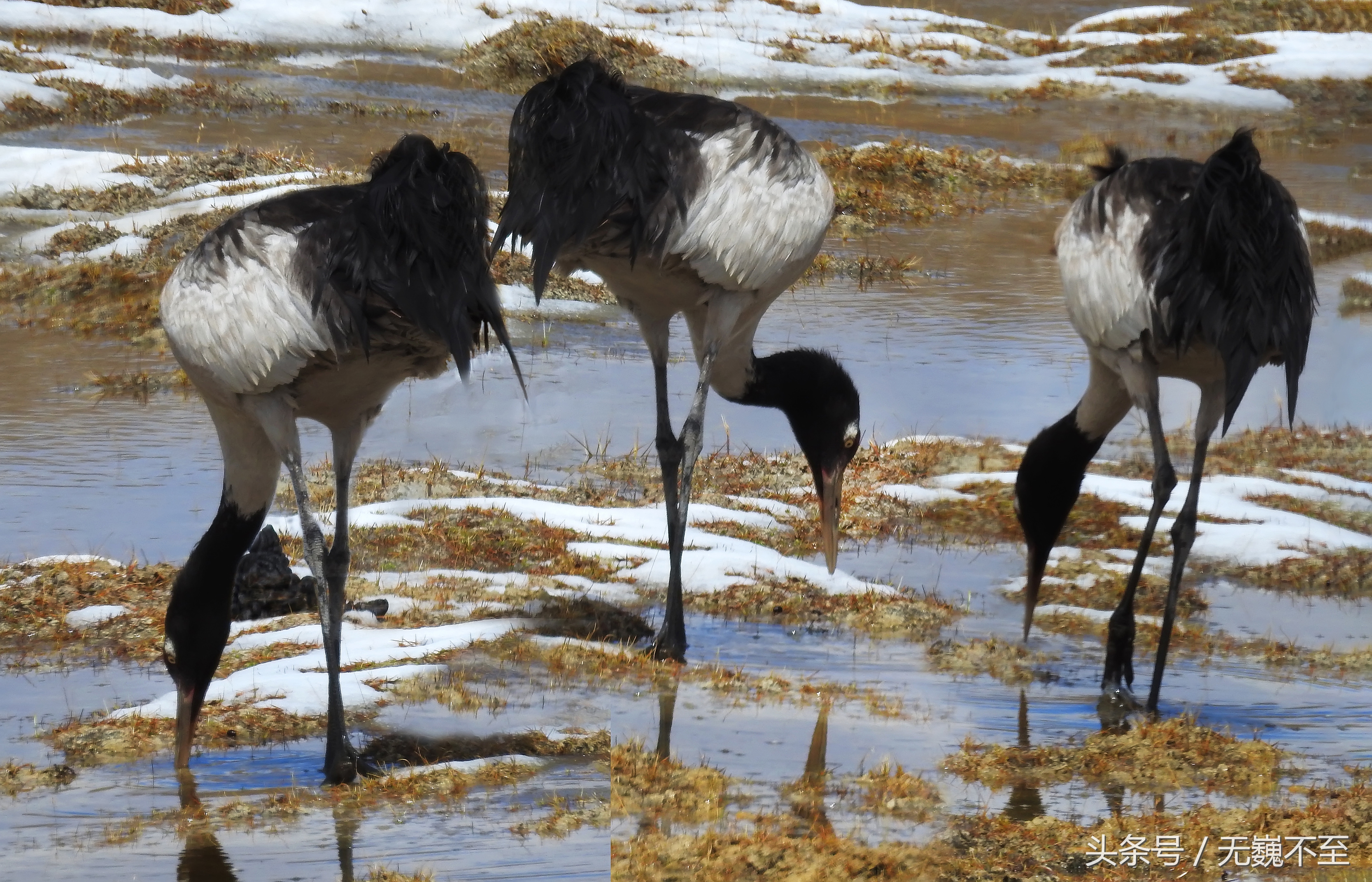 四姑娘山海拔最高的垭口,攀登四姑娘山三峰海拔多少