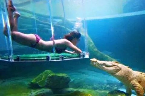 深圳机场温哥华航线,深圳直飞温哥华航线图