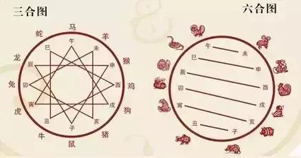 属虎的人和哪些属相可以合作共事,1971年的金猪适合和什么属相合作