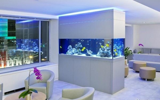 鱼缸别扔,鱼缸放石头的禁忌