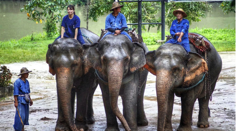 盘点泰国热门性价比好物，护肤彩妆价格居然这么便宜？