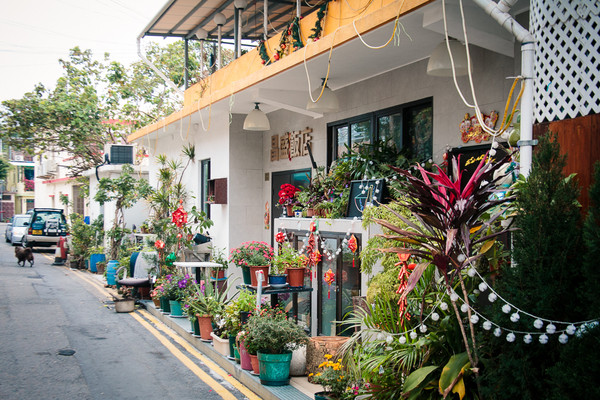 去香港玩的最新攻略,去香港玩一般都去哪里玩