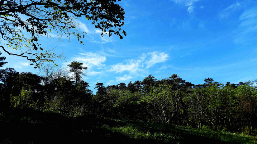 天华山-秦岭梁，又一条风景秀美的一日劲走线路