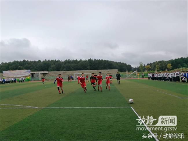 贵州遵义青少年足球特色学校名单,贵州国家级足球示范校有哪些