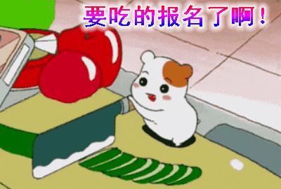 你过来一下仓鼠表情包,仓鼠表情包整套叫什么