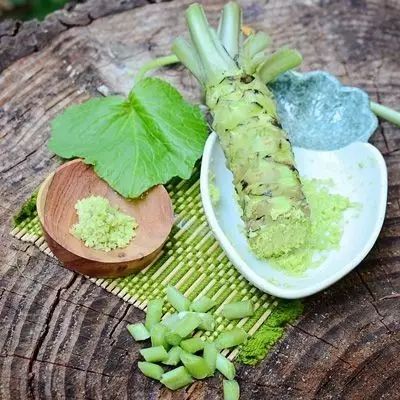 火龙果其实是多肉?猕猴桃开花好乘凉?