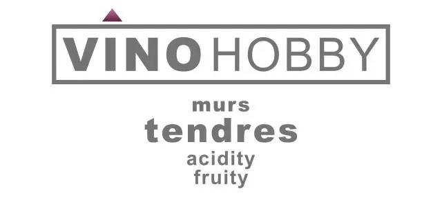 世界杯为何冠军都是足球大国,足球强国为什么都是发达国家