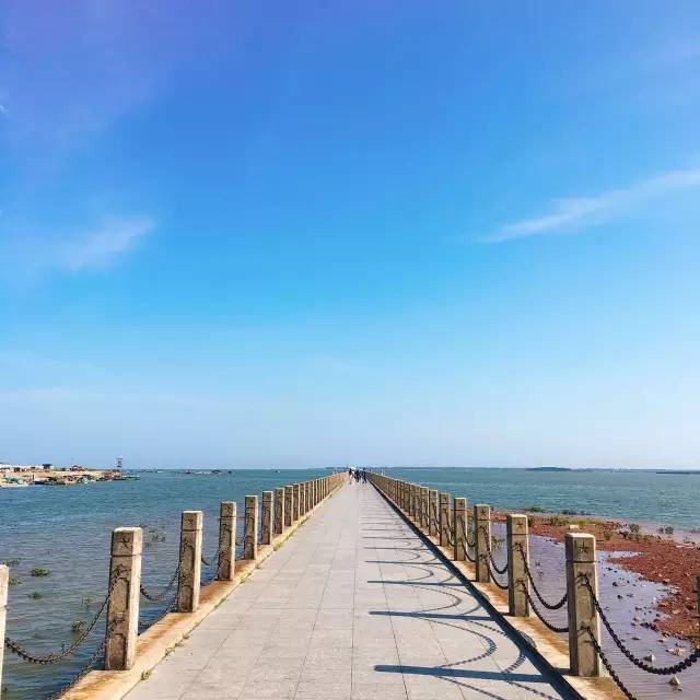 提醒吃海鲜的人们,广西开海节吃海鲜