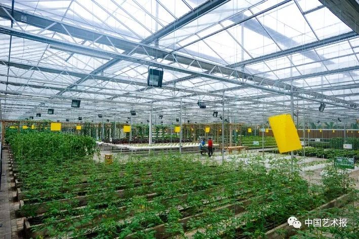 汶川大地震志愿者影集,汶川十年影像