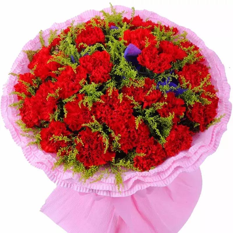 母亲节一束康乃馨送给最亲爱的人,母亲节送妈妈康乃馨图片