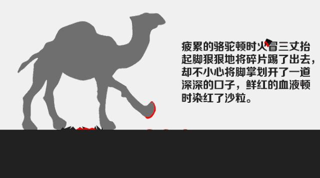 生气的骆驼火遍整个朋友圈,生气的骆驼火遍朋友圈