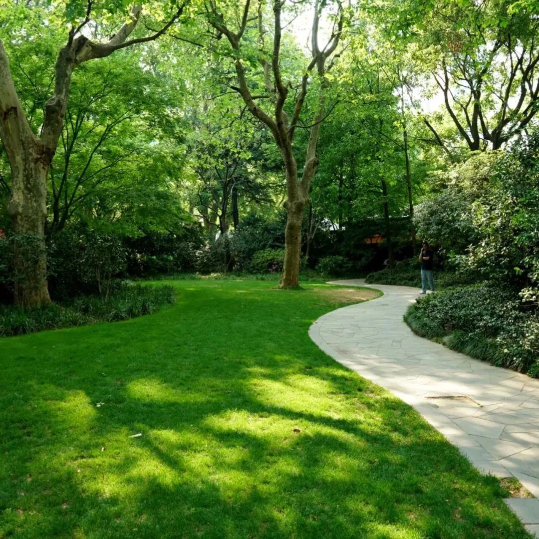 心疼！上海“孤独咖啡店”突然停业，特殊“服务员”还能继续上班吗？